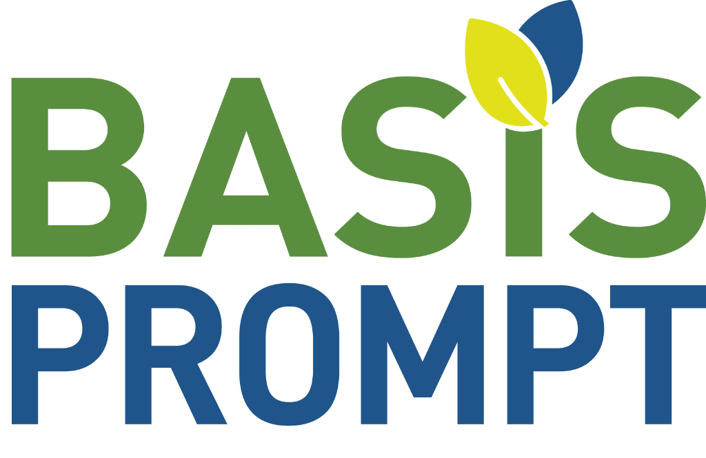 BASIS PROMPT