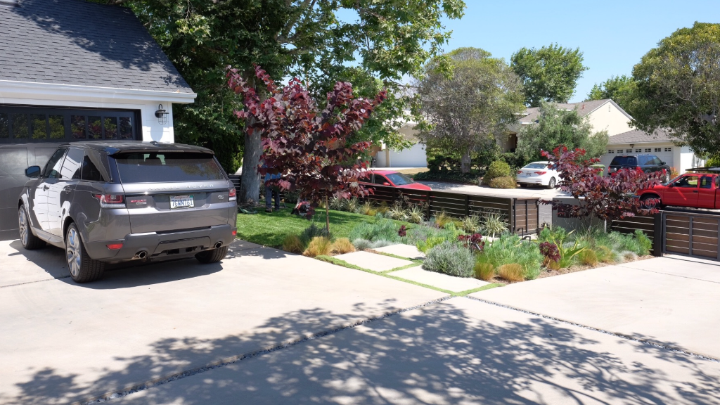 Street view — specimen plum tree, mixed native border, gravel-channel driveway detail