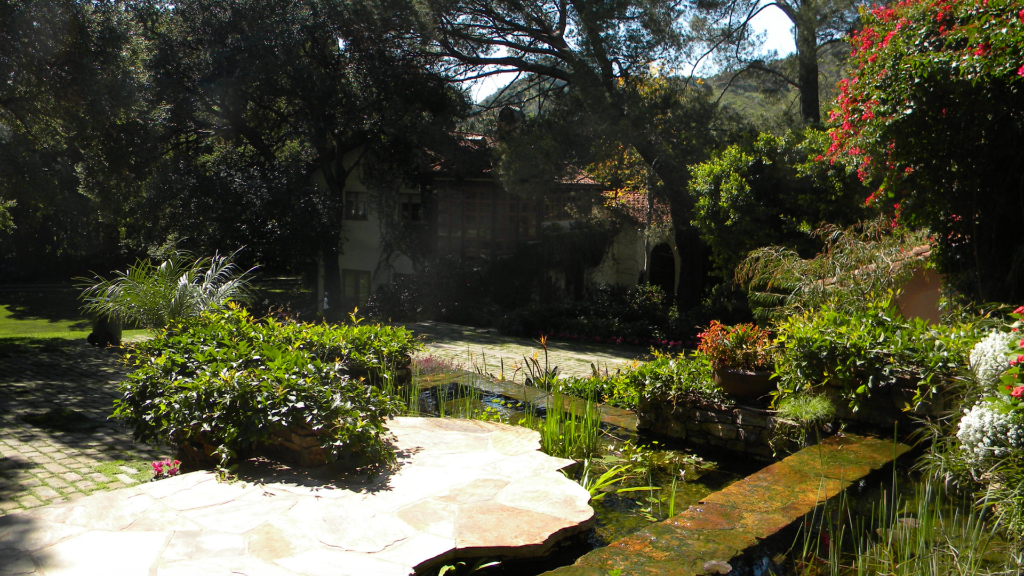Estate garden overview — naturalistic pond, specimen trees, and terrace seating