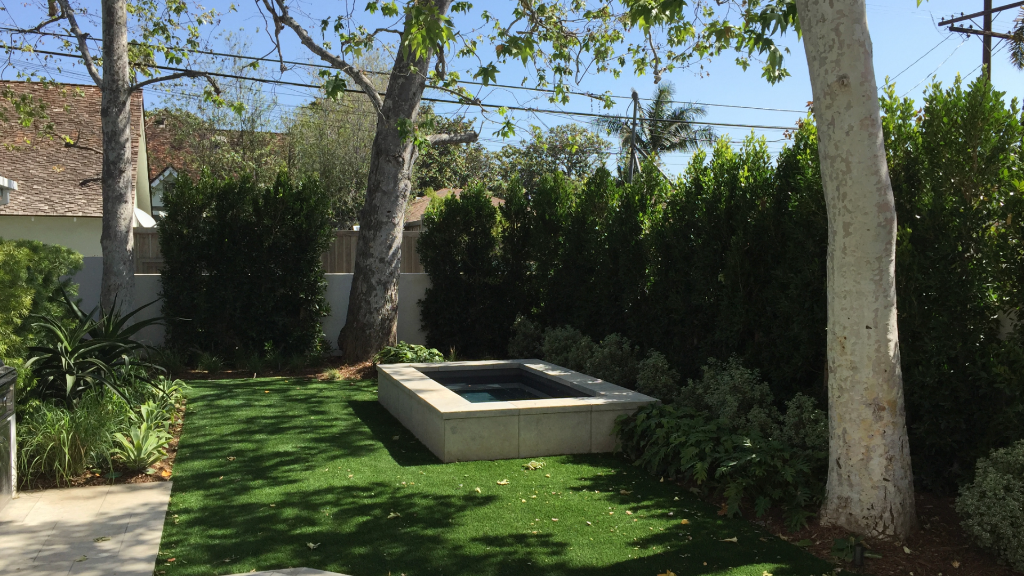 Modern plunge spa with sycamore canopy, arborvitae privacy screen, and synthetic lawn