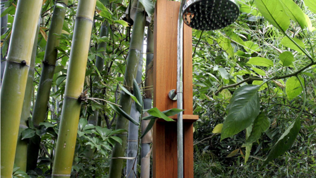 Outdoor shower — teak rainhead post, mature bamboo grove, tropical garden enclosure