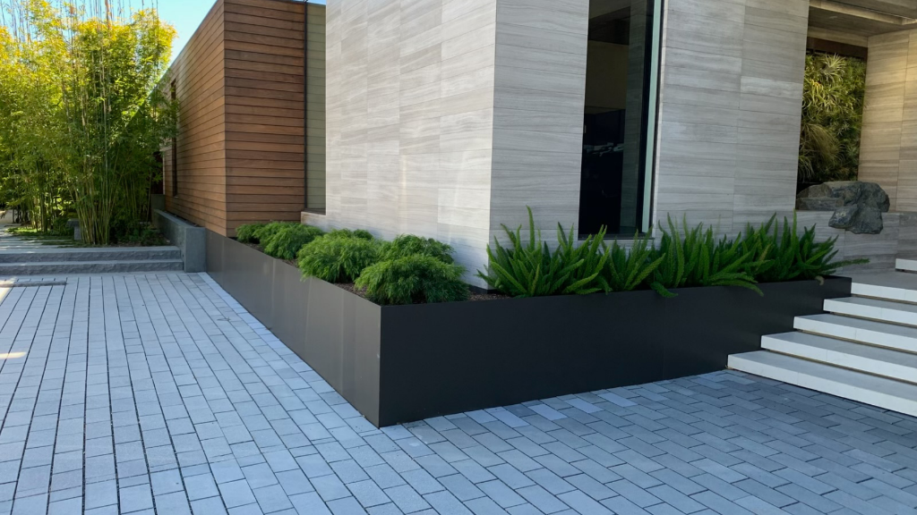 Dark steel planter beds with mixed succulent planting against architectural facade