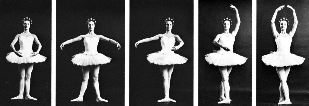 The Positions of the Arms: How Ballet Schools Speak Different Languages