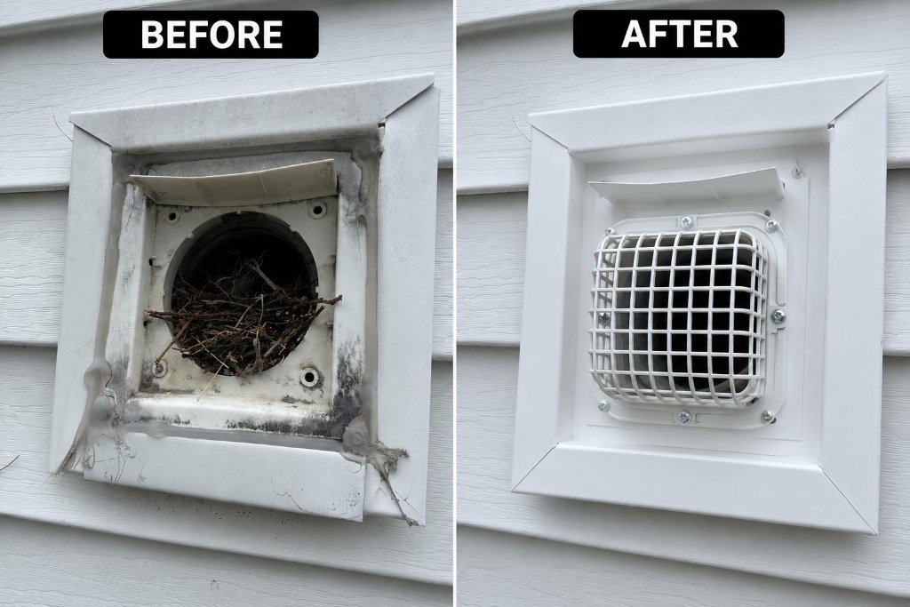 Exterior dryer vent nest removal and guard installation New Jersey