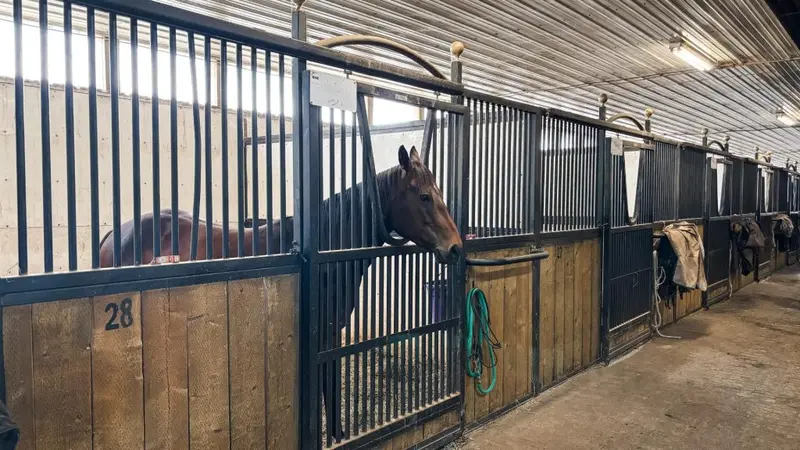 Blazing Hearts Ranch