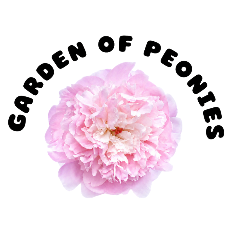 Garden of Peonies