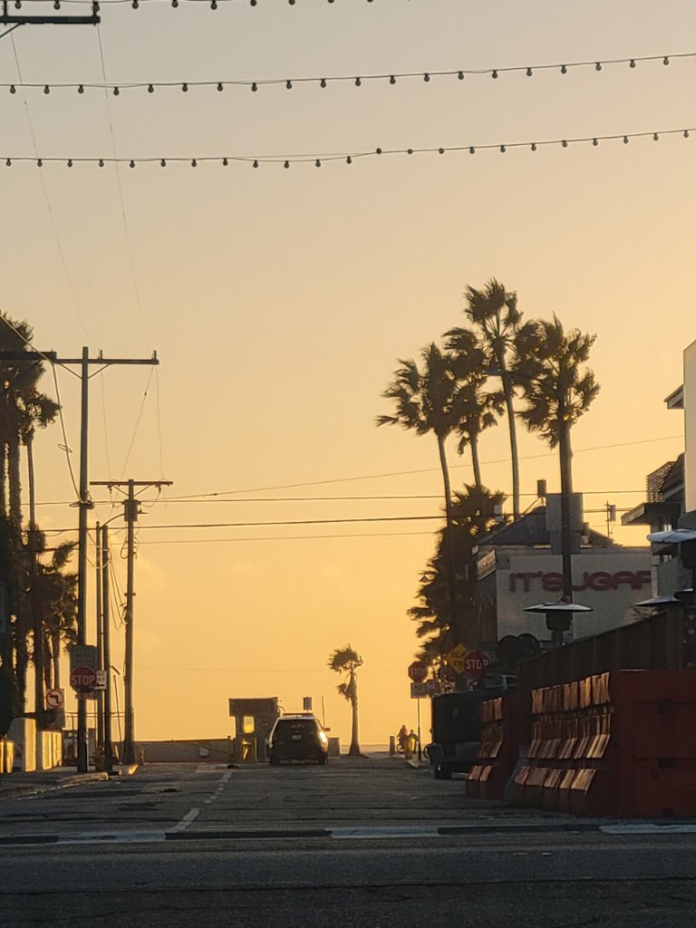 Golden hour street scene with silhouetted palm trees against an amber sky