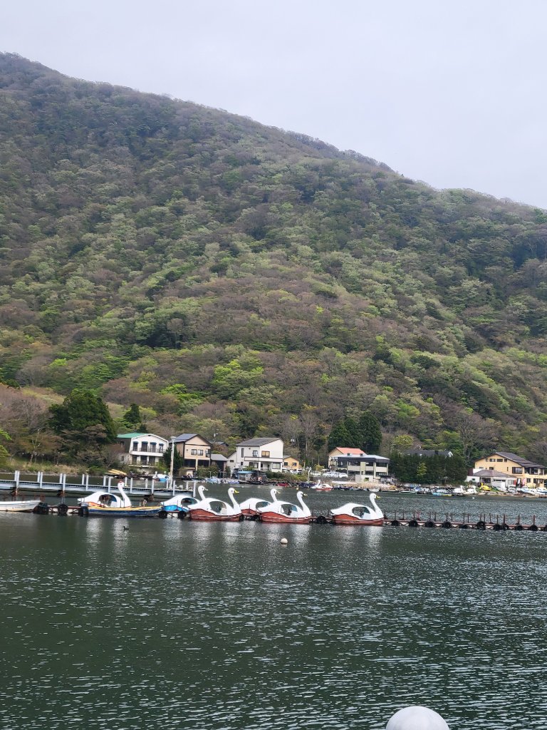 Swan-shaped paddle boats on a lake with a forested mountain in the background