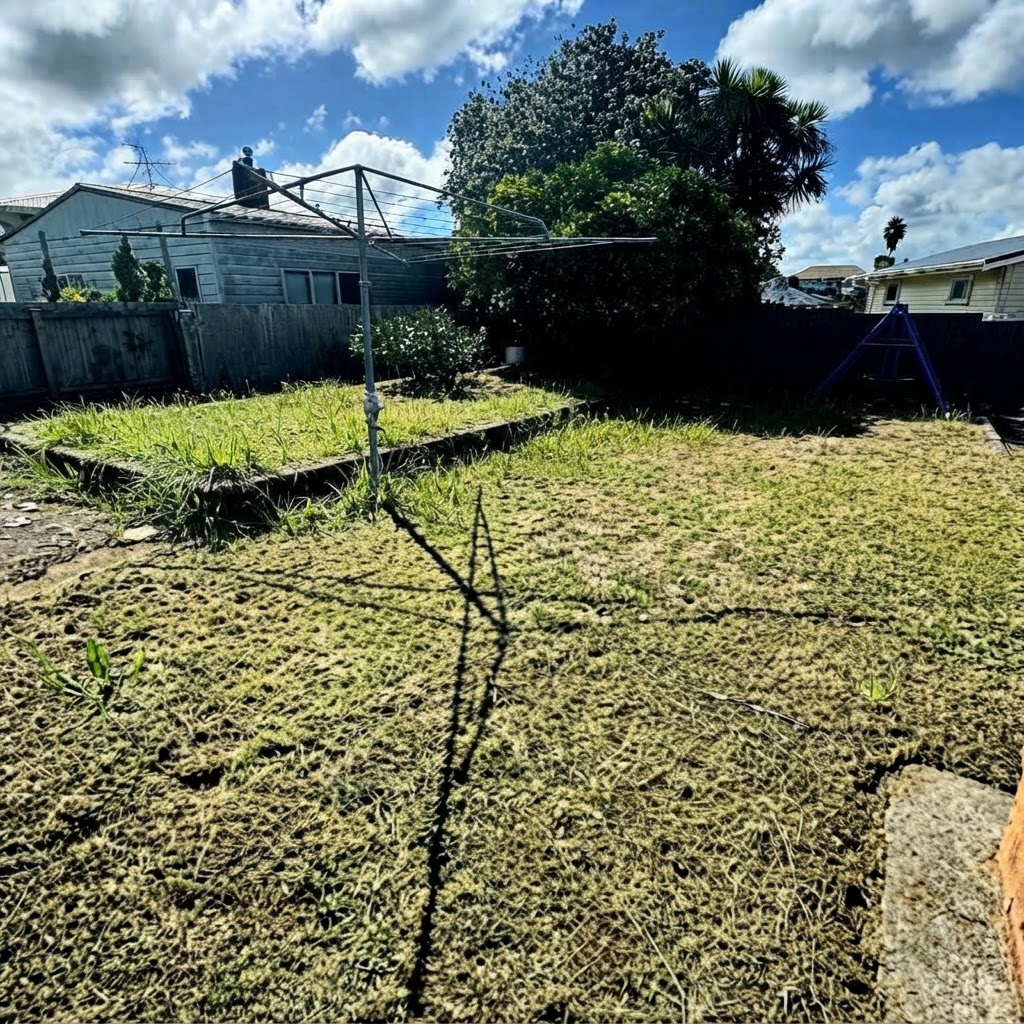 Before - Lawn Maintenance