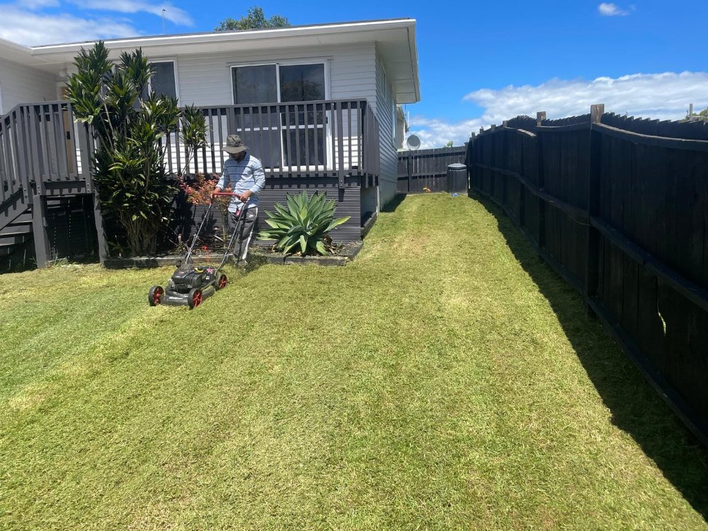 After - Residential Lawn Restoration