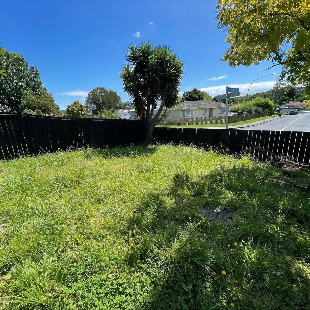 Before - Backyard Lawn Makeover