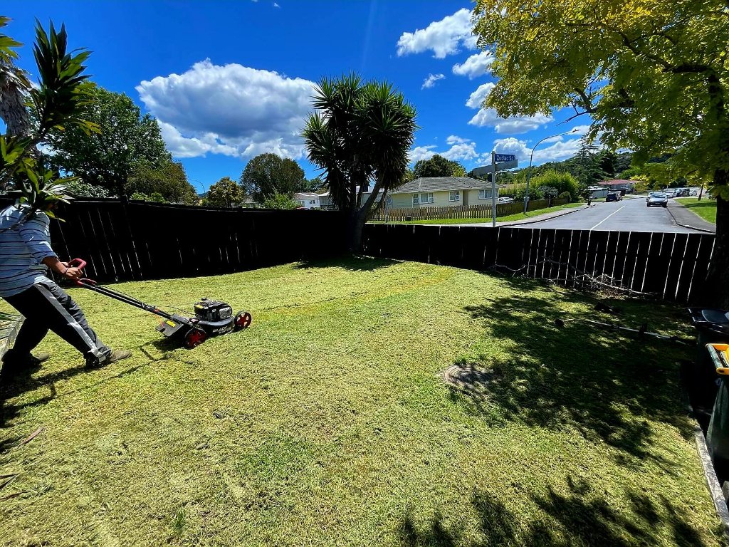 After - Backyard Lawn Makeover