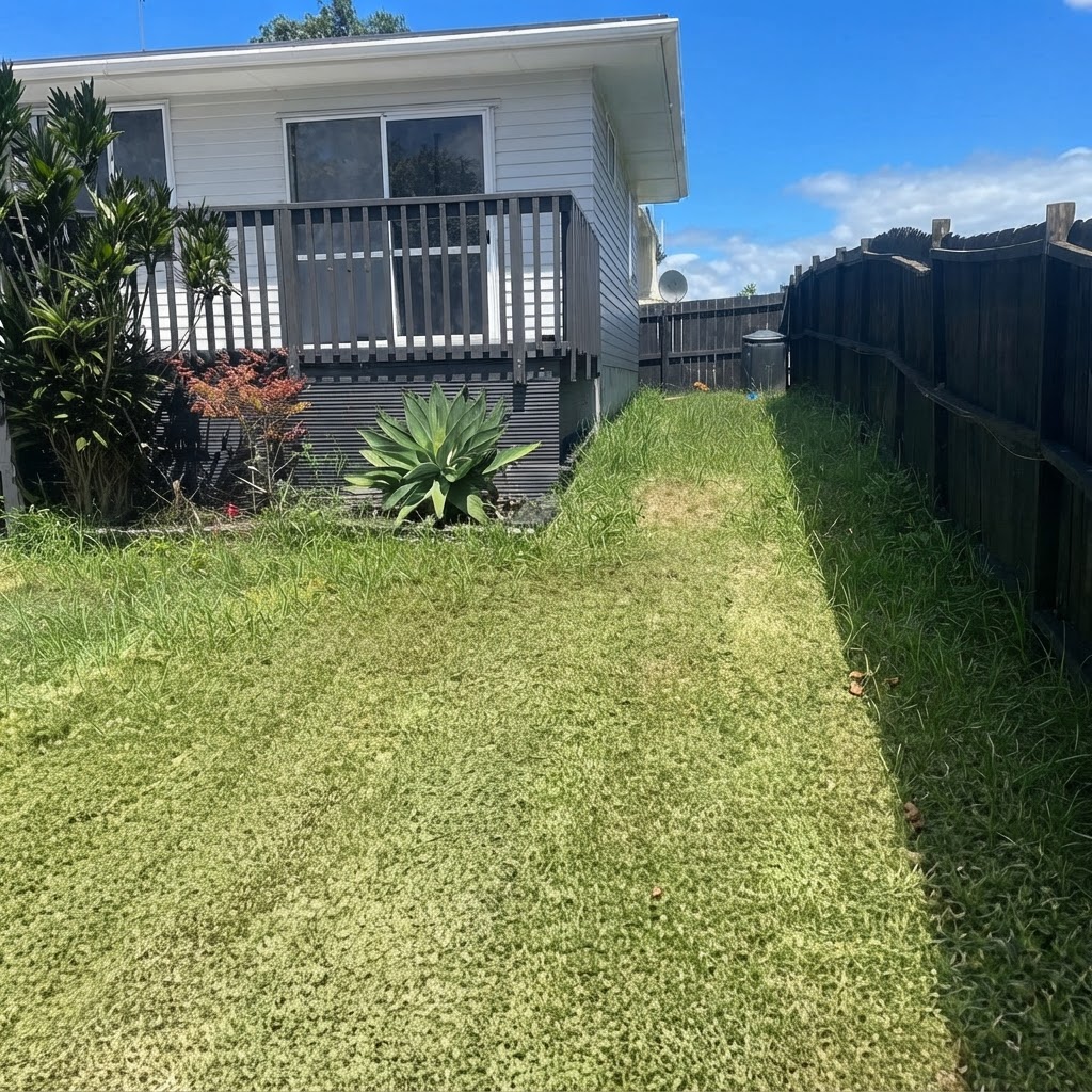 Before - Residential Lawn Restoration