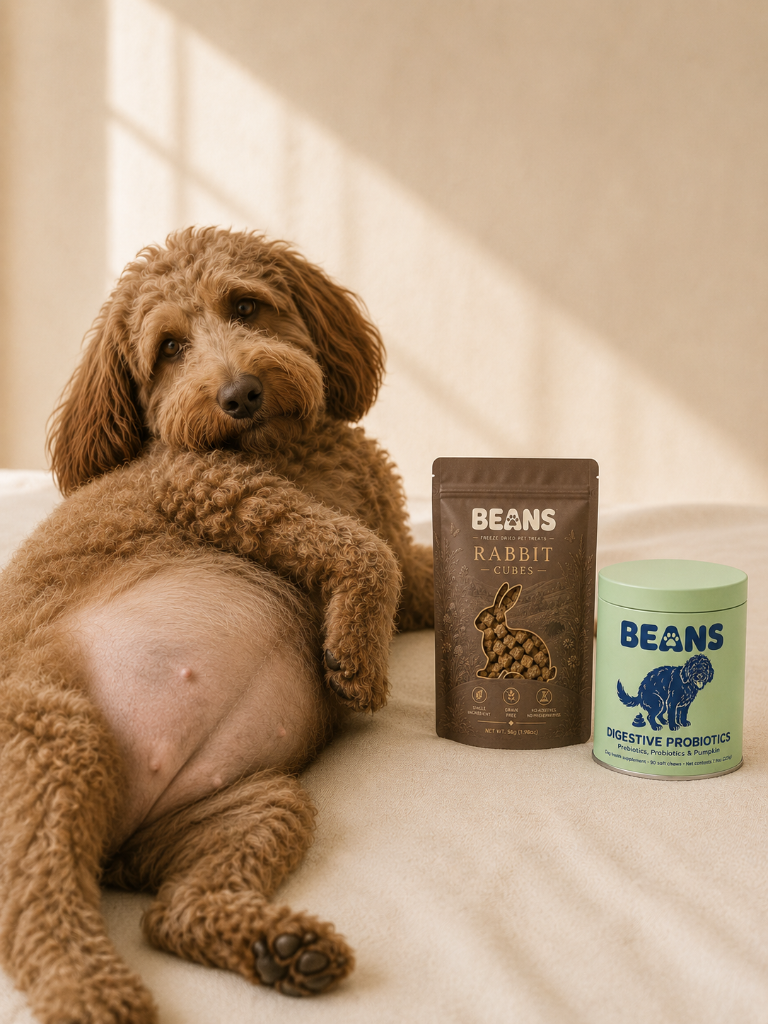For Sensitive Stomachs