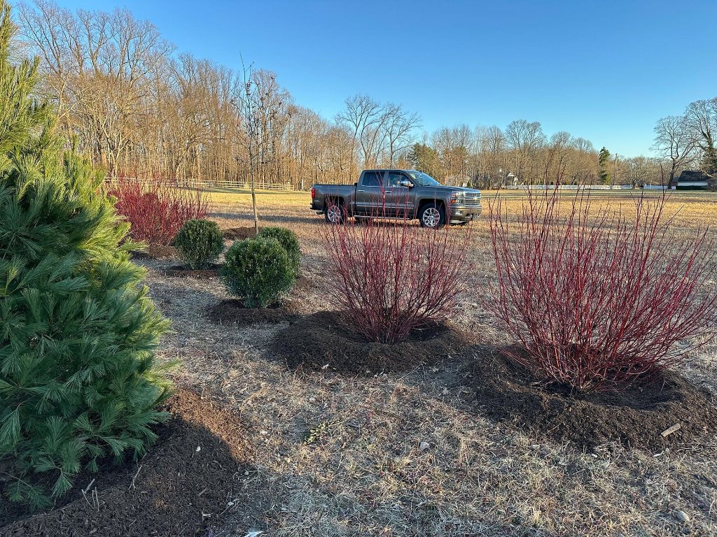 Landscaping team at work