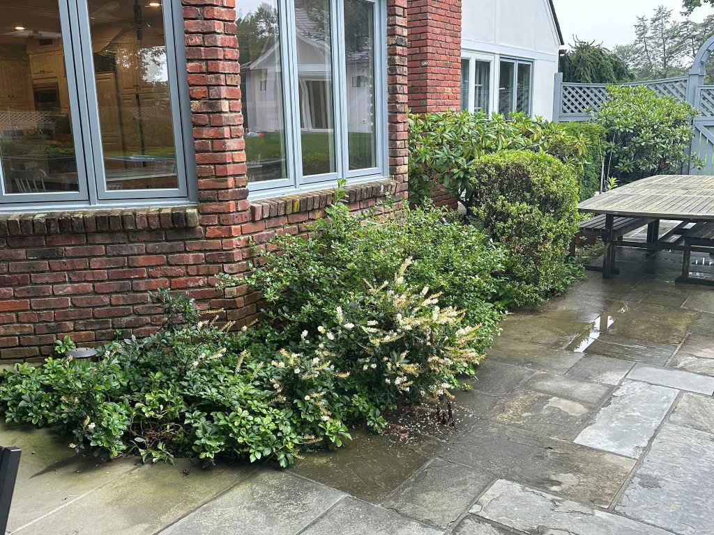 Garden and Planting Services in Lower Fairfield County, CT
