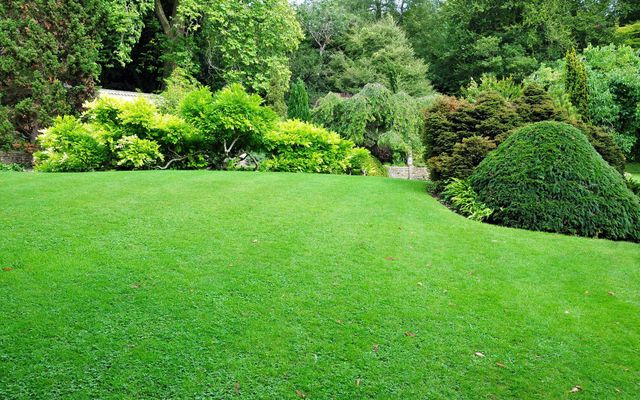 Beautiful maintained landscape