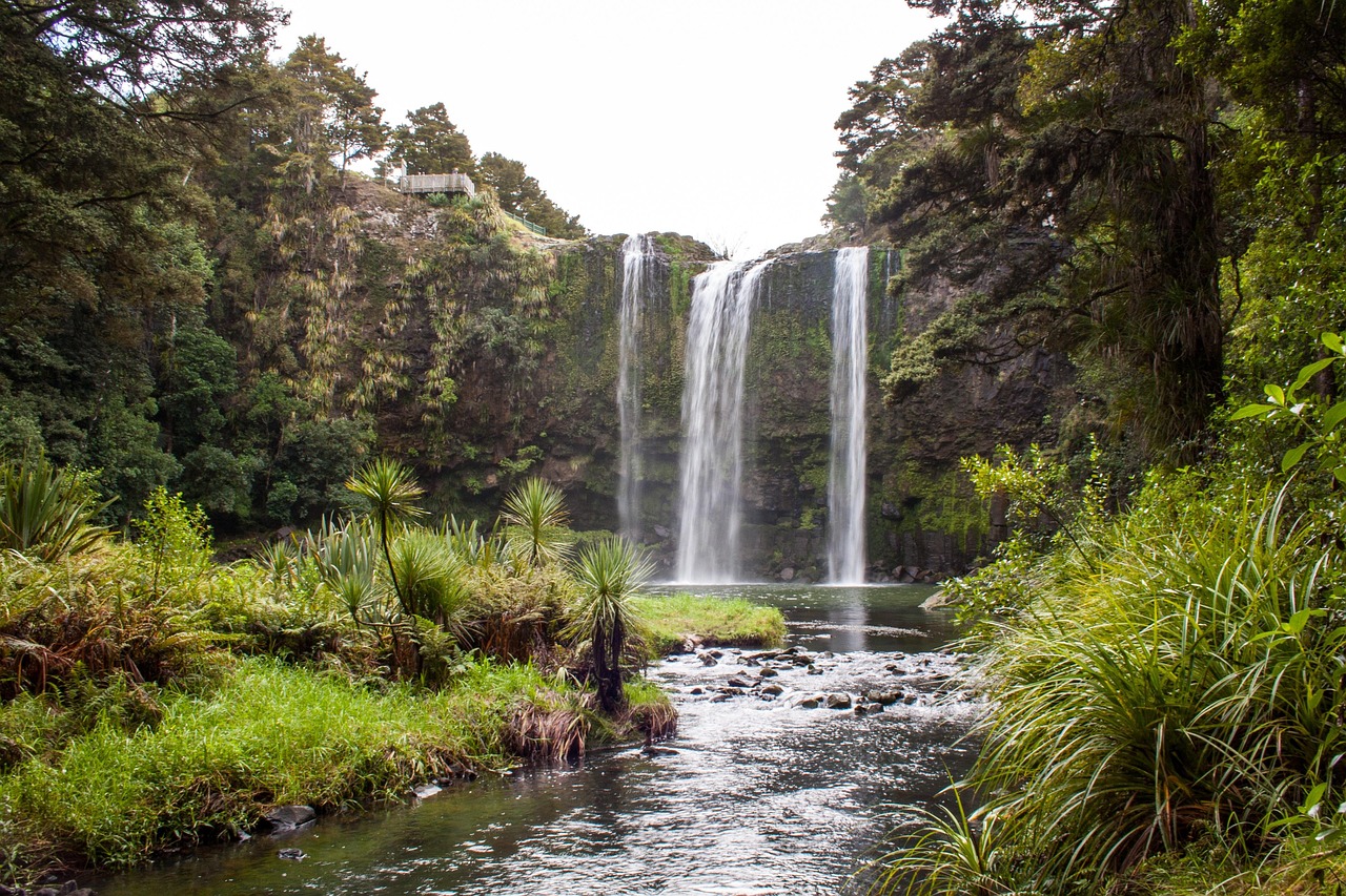 Northland hunting country