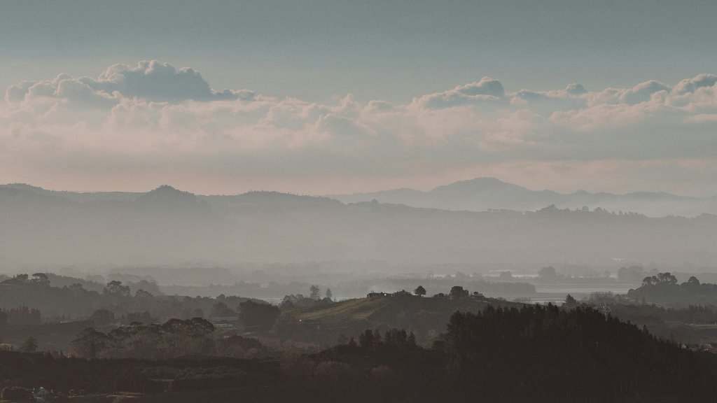 Bay of Plenty hunting country