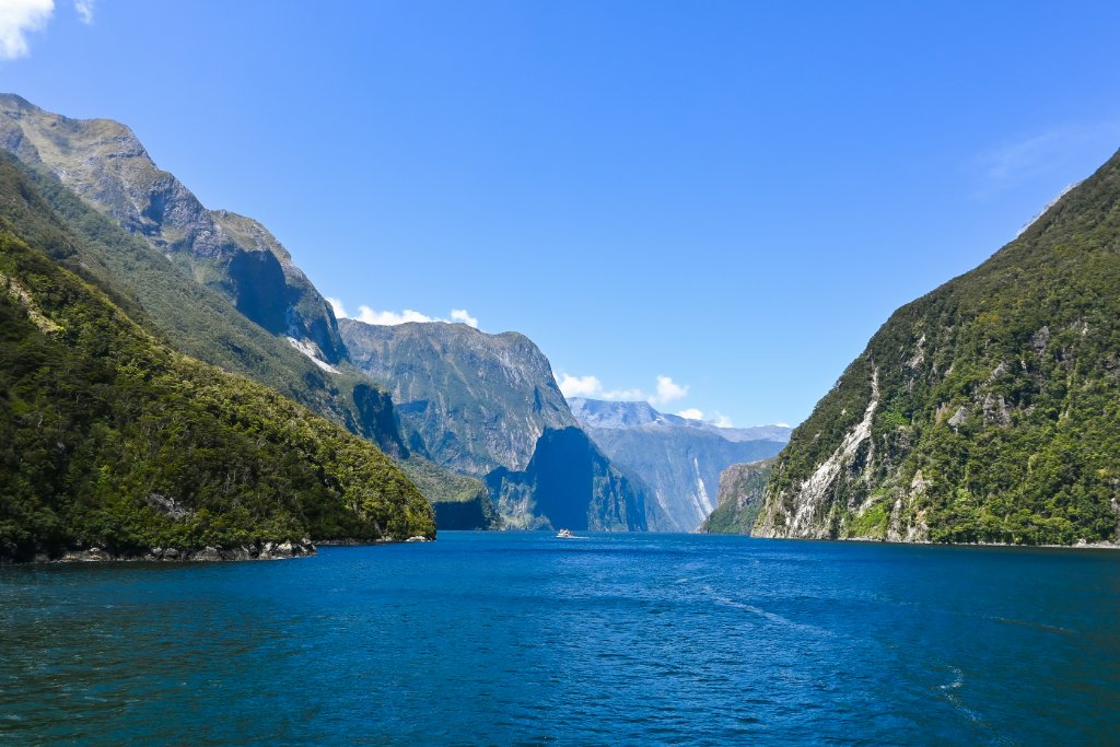 Fiordland hunting country