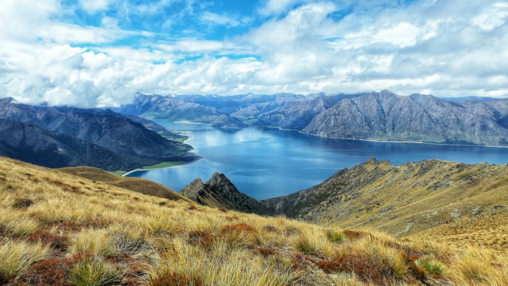 Otago hunting country