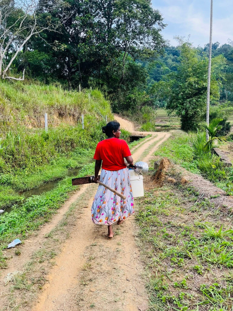 Village woman walking along a country path