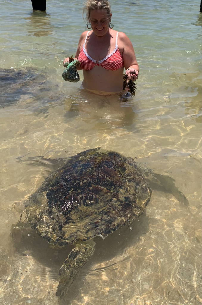 Coastal & Wildlife Safari