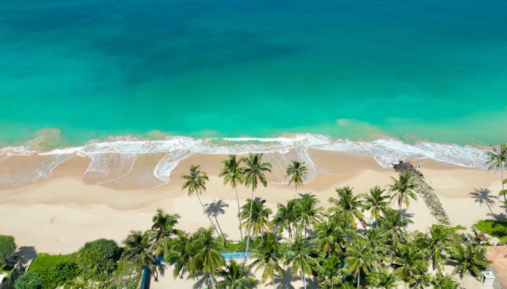 Aerial beach with turquoise water and palms