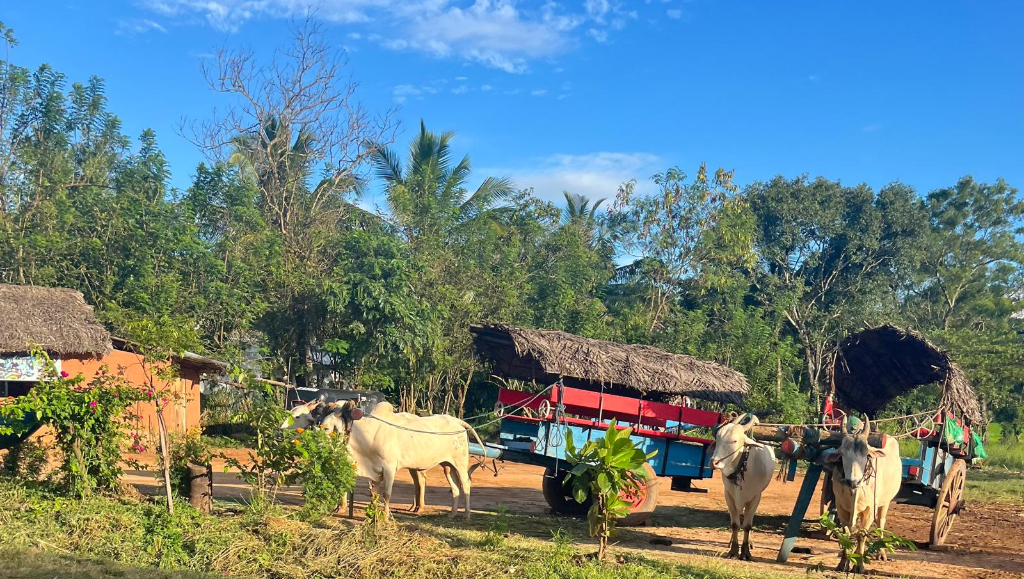 Village Immersion