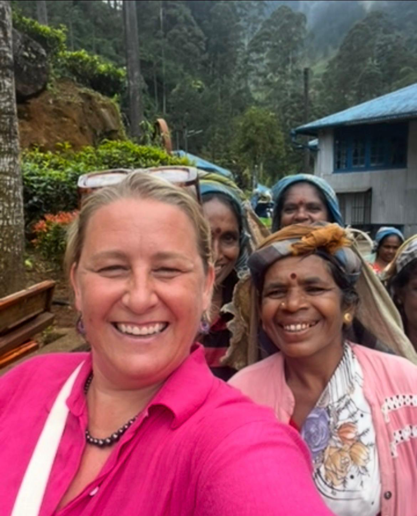 Tea Country Traverse