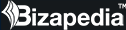 Bizapedia
