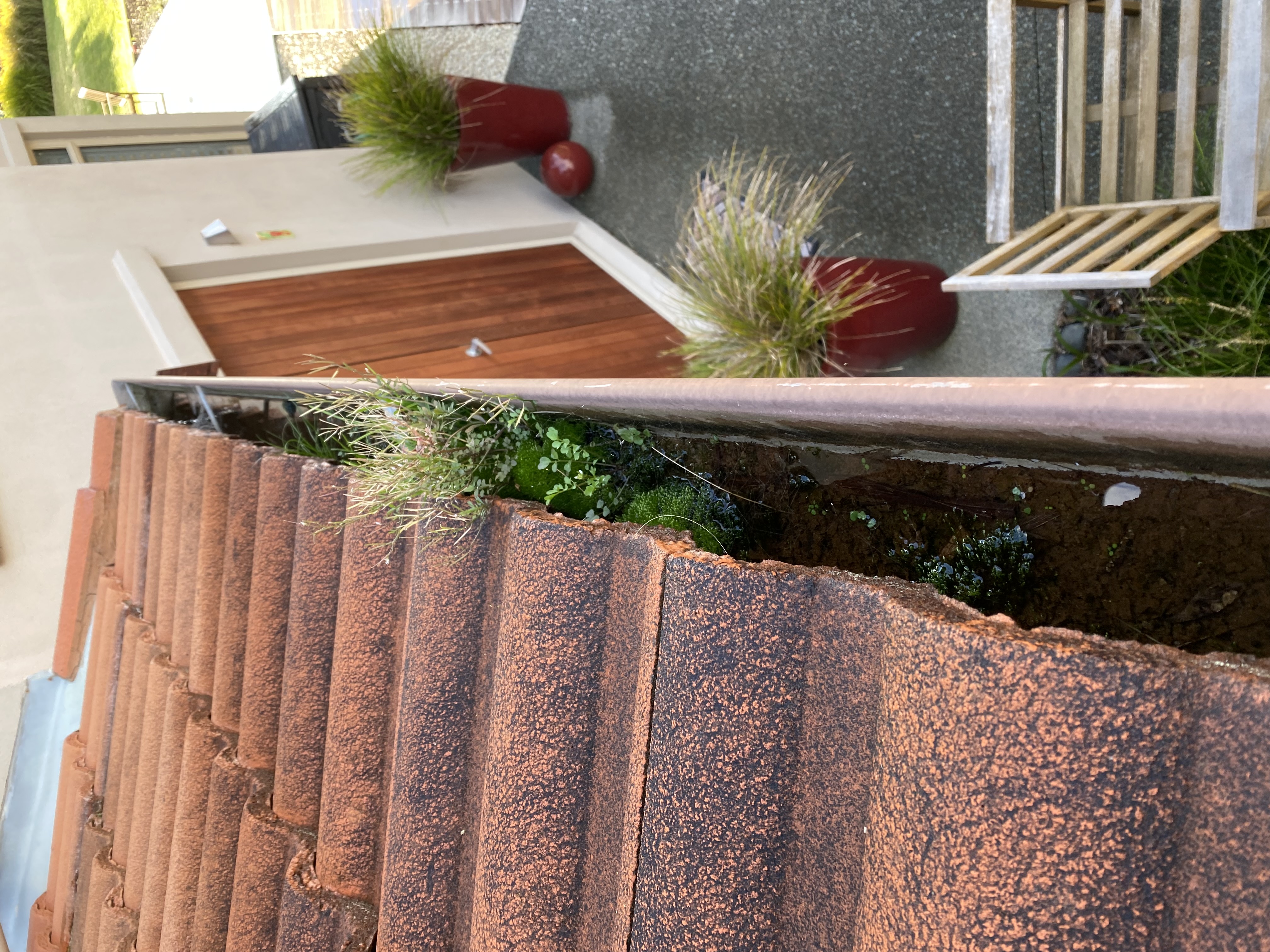 Gutter cleaning