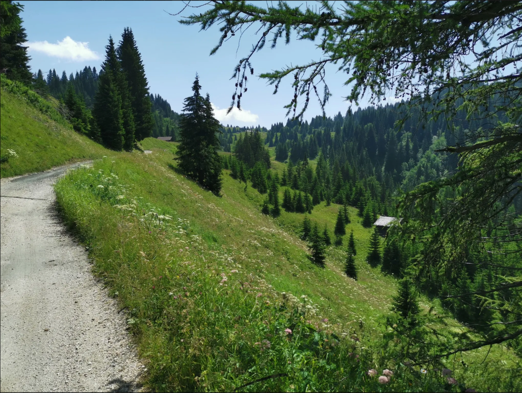Foto 2