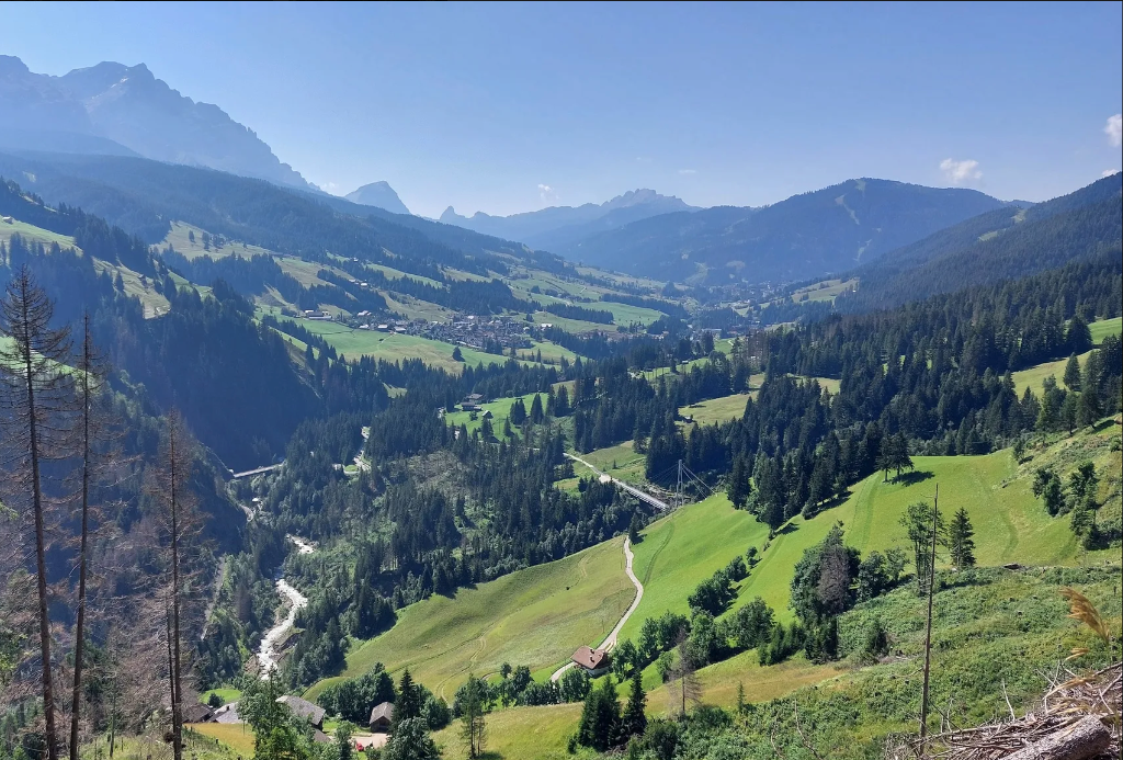 Foto 4
