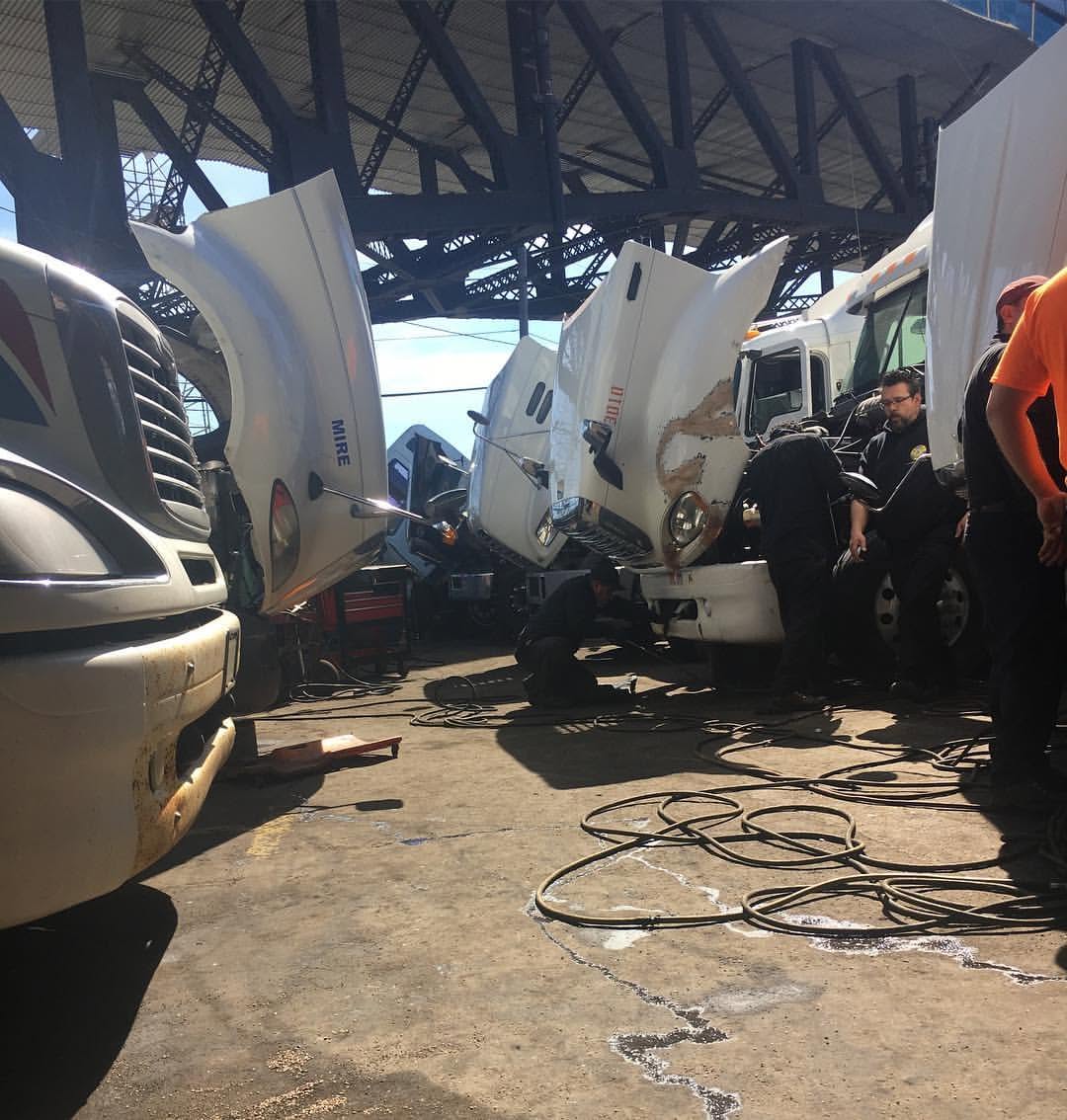 Truck hoods open with technicians working on engines