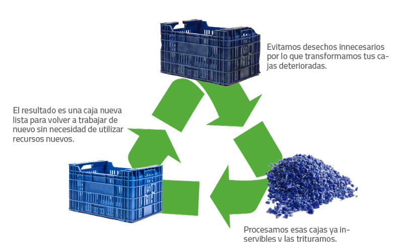 Proceso de reciclaje Vizmon