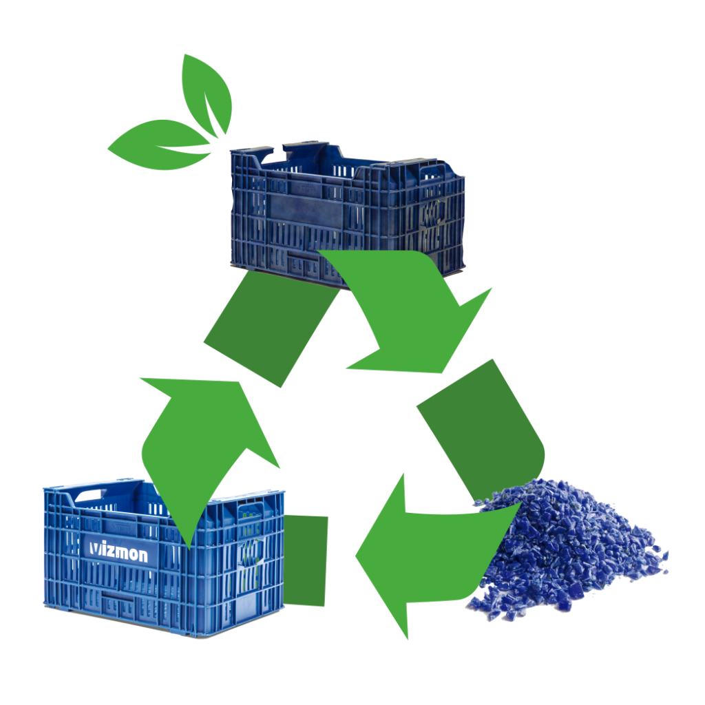 Proceso de reciclaje Vizmon