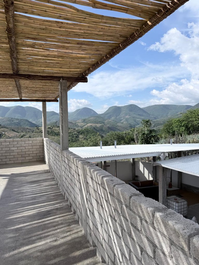 View from the palenque terrace in San Juan Del Río