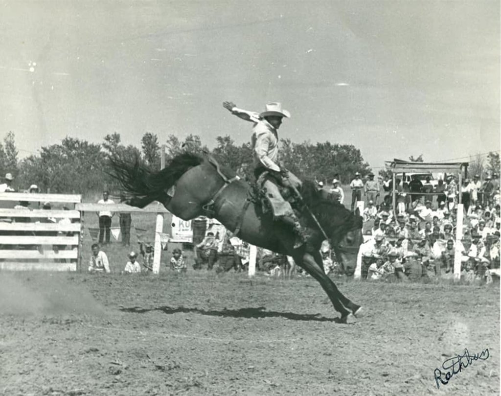 Cowboy riding bronc at rodeo