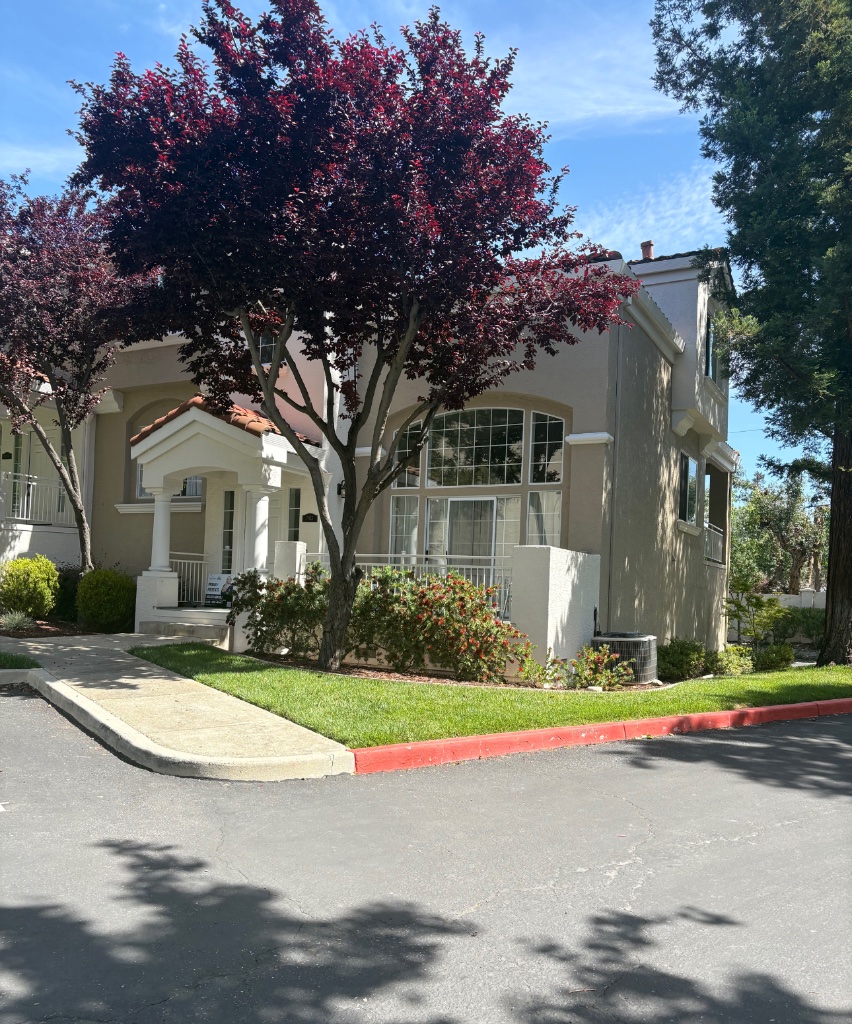 7013 Silver Fox Dr