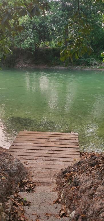 Wooden dock on a calm river surrounded by forest