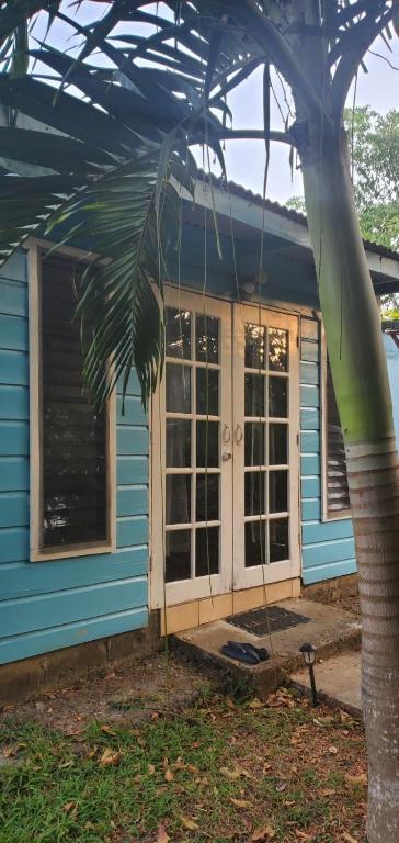 Blue cabin exterior with French doors and palm trees