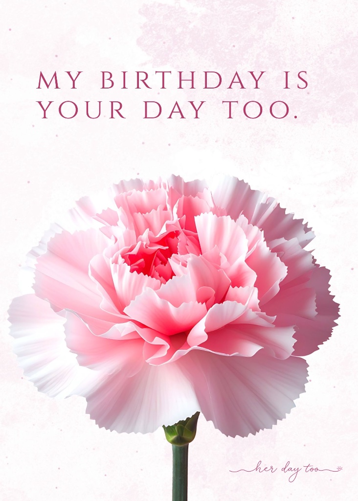 Pink Carnation