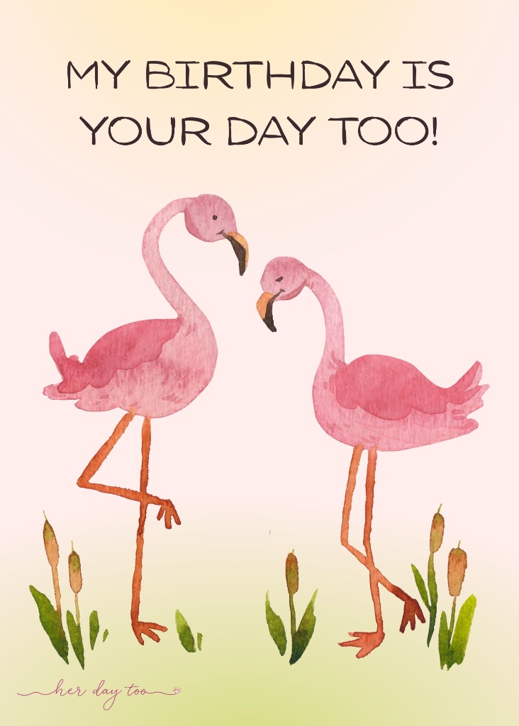Flamingos