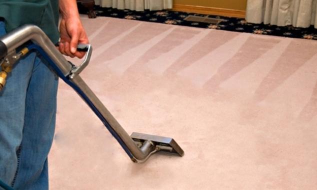 Professional carpet cleaning wand extraction tool in action on residential carpet