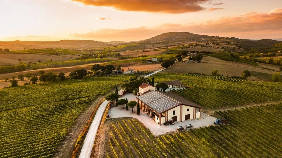 Immagine di copertina della cantina Le Cimate ssa