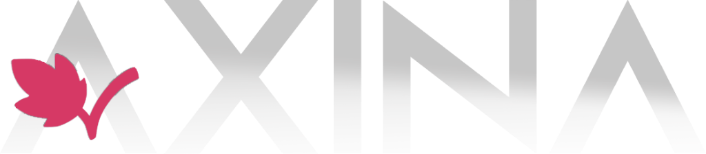 Axina Srl