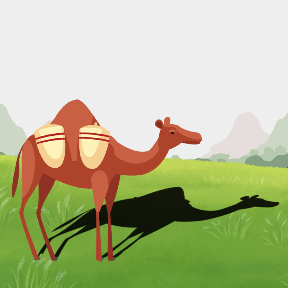 Camel's Shadow