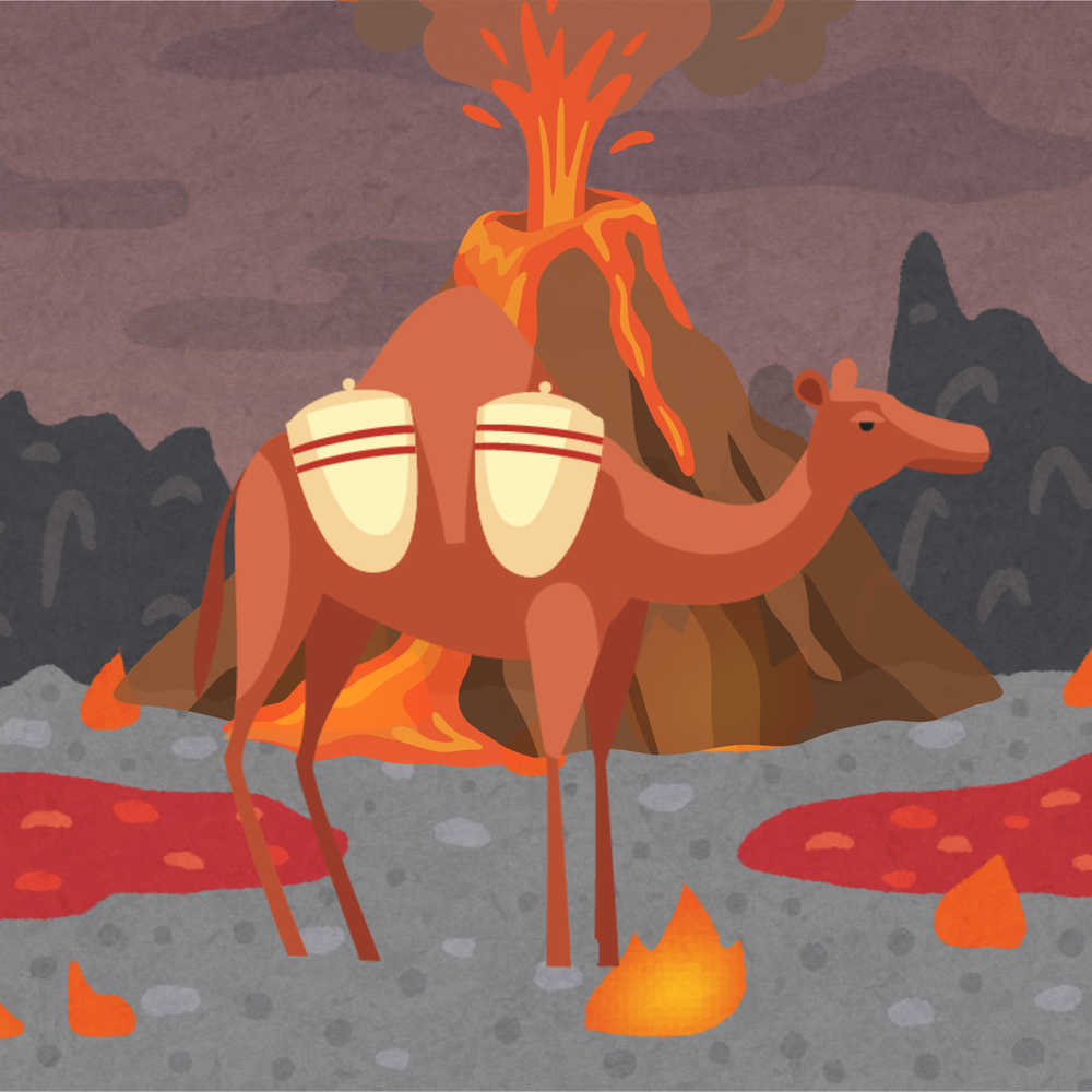 Camel on Fire