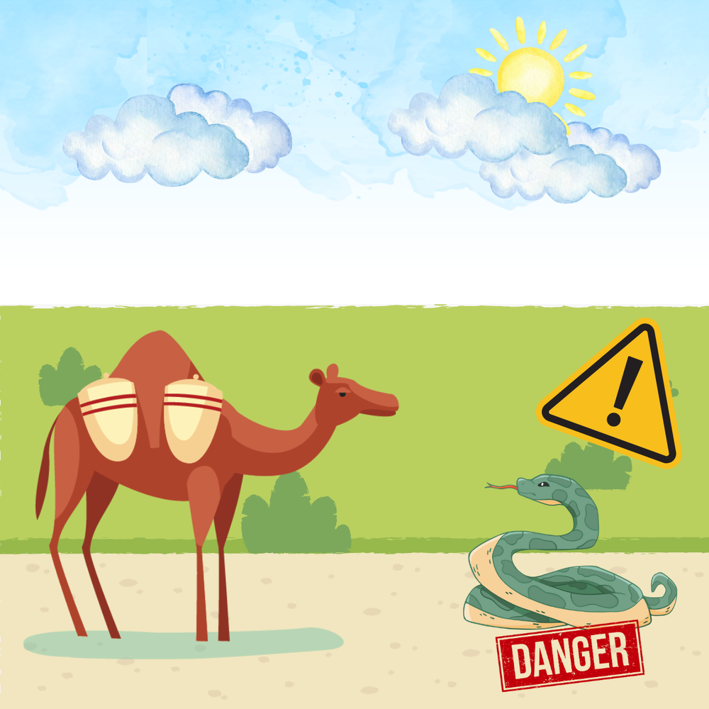 Camel Risk Mitigation